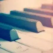 どんきちの画像