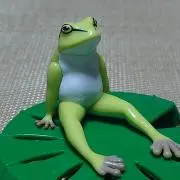 アシカ144