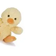 ししゃもの画像