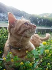 M─SHOP♥️まとめ買い大歓迎♥️の画像