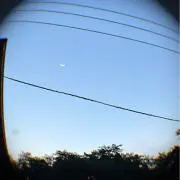 あんぱんの画像