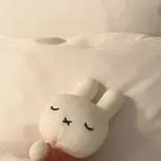れの画像