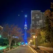 tatataの画像