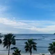 必ず紹介文の確認お願いしますの画像