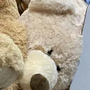 ユズの画像