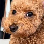 ෆ⃛さくらෆ⃛の画像
