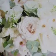 みーの画像