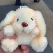 きんぷり