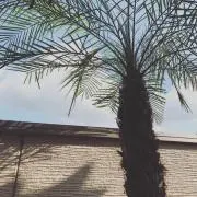 松の家　【値引き交渉可能】の画像