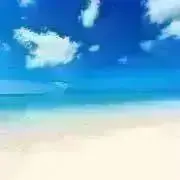 洋服フォロー割あり❣️の画像