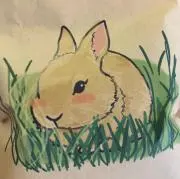 しまむーの画像