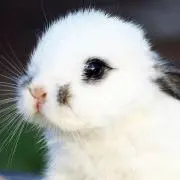 まり