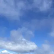 Ryの画像