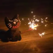 さーや
