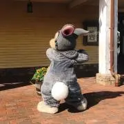 とんすけの画像