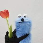 ことり*の画像
