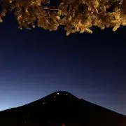 Yanの画像