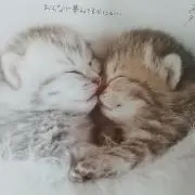 マツダの画像