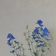 ロッキー