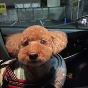 あーさん