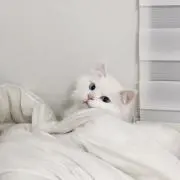 ぁりの画像
