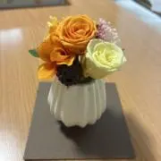 ケイタンの画像