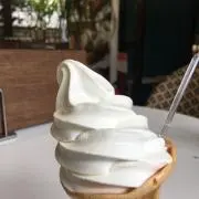 sacoの画像