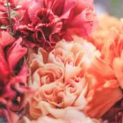 waka0503の画像