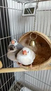 ひぃふぅみぃの画像