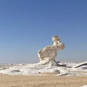 こうろめの画像