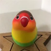 まろんママの画像
