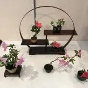 naaの画像