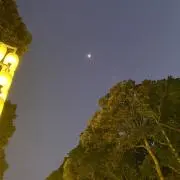 ジニの画像