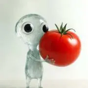 ずまぽんの画像