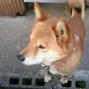 ゆう   .の画像