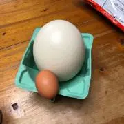 長井やすし