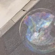 初心者chanん。の画像