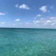 九州釣具修理センター 鈴木商店 落とし込み竿 Sea Challenger - メルカリ