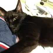 あきゆき