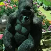 島ちゃんの画像