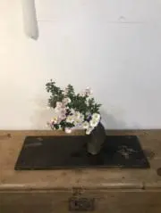 marinaの画像