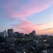 ももすけの画像