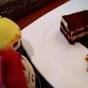 まりもの画像