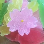 ナナ