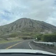 Bmhの画像