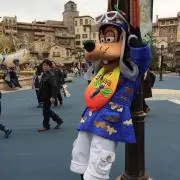 ✌︎('ω')✌︎