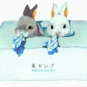 ☆指セレブ☆の画像