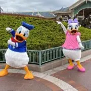 ゆんの画像