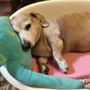 のり