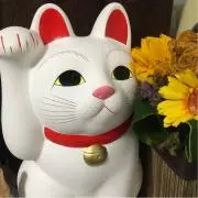Peiの画像